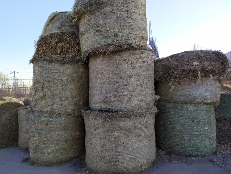 Εκτίμηση δυναμικού Βιομάζας για παραγωγή βιοενέργειας