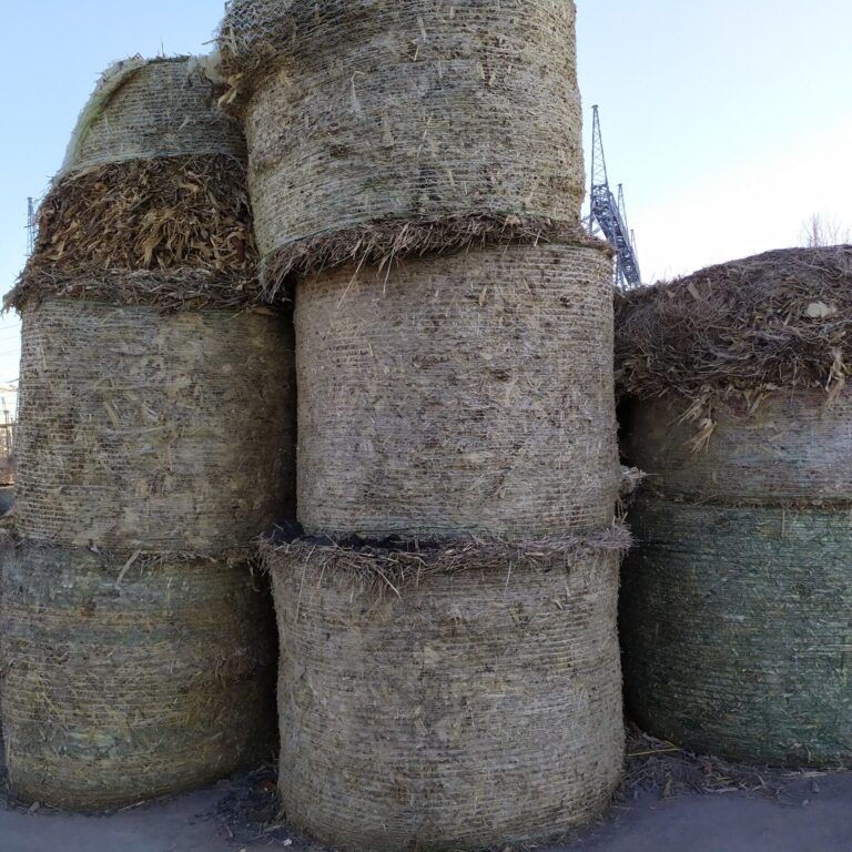 Εκτίμηση δυναμικού Βιομάζας για παραγωγή βιοενέργειας