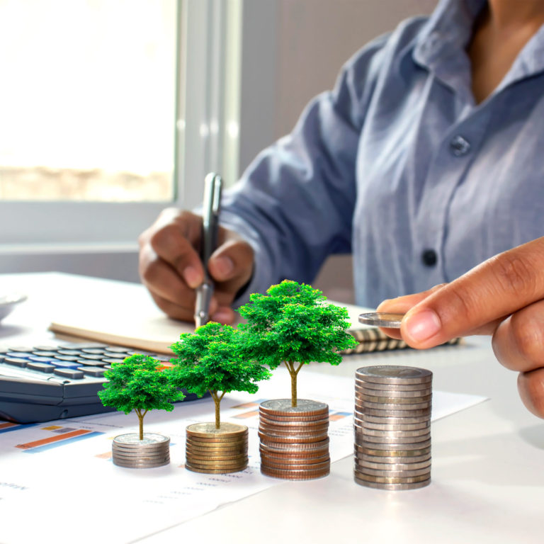 The,Hands,Of,Businessmen,Are,Planting,Trees,Growing,On,Coins,