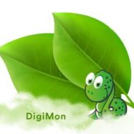 DigiMon logo with text